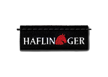 Haflinger